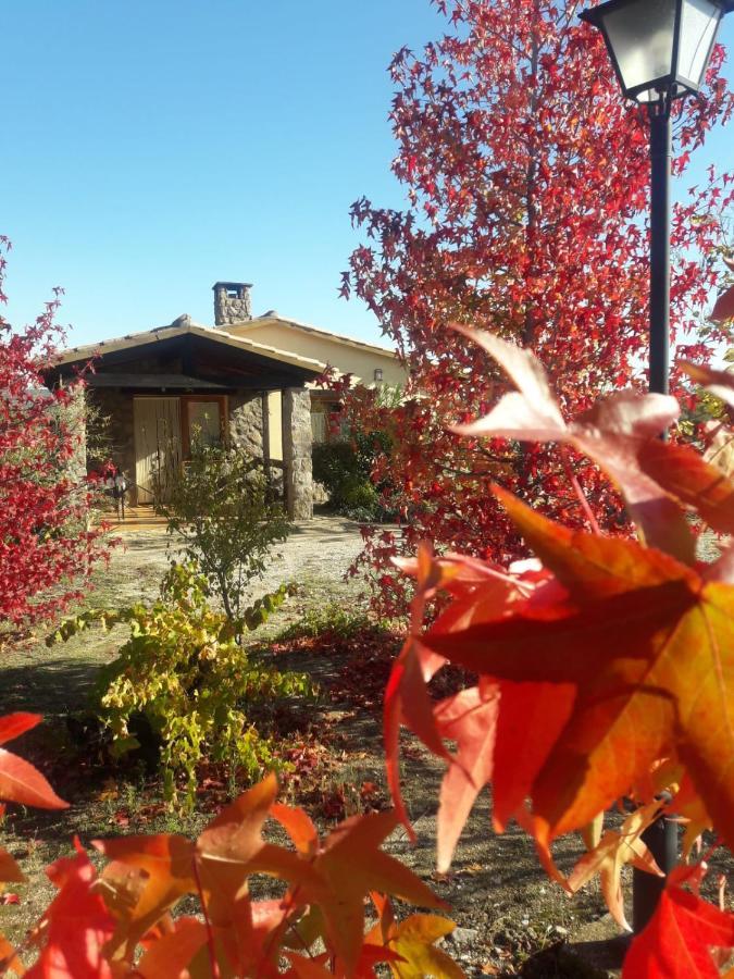 Casa Rural Amarilla Ávila 외부 사진